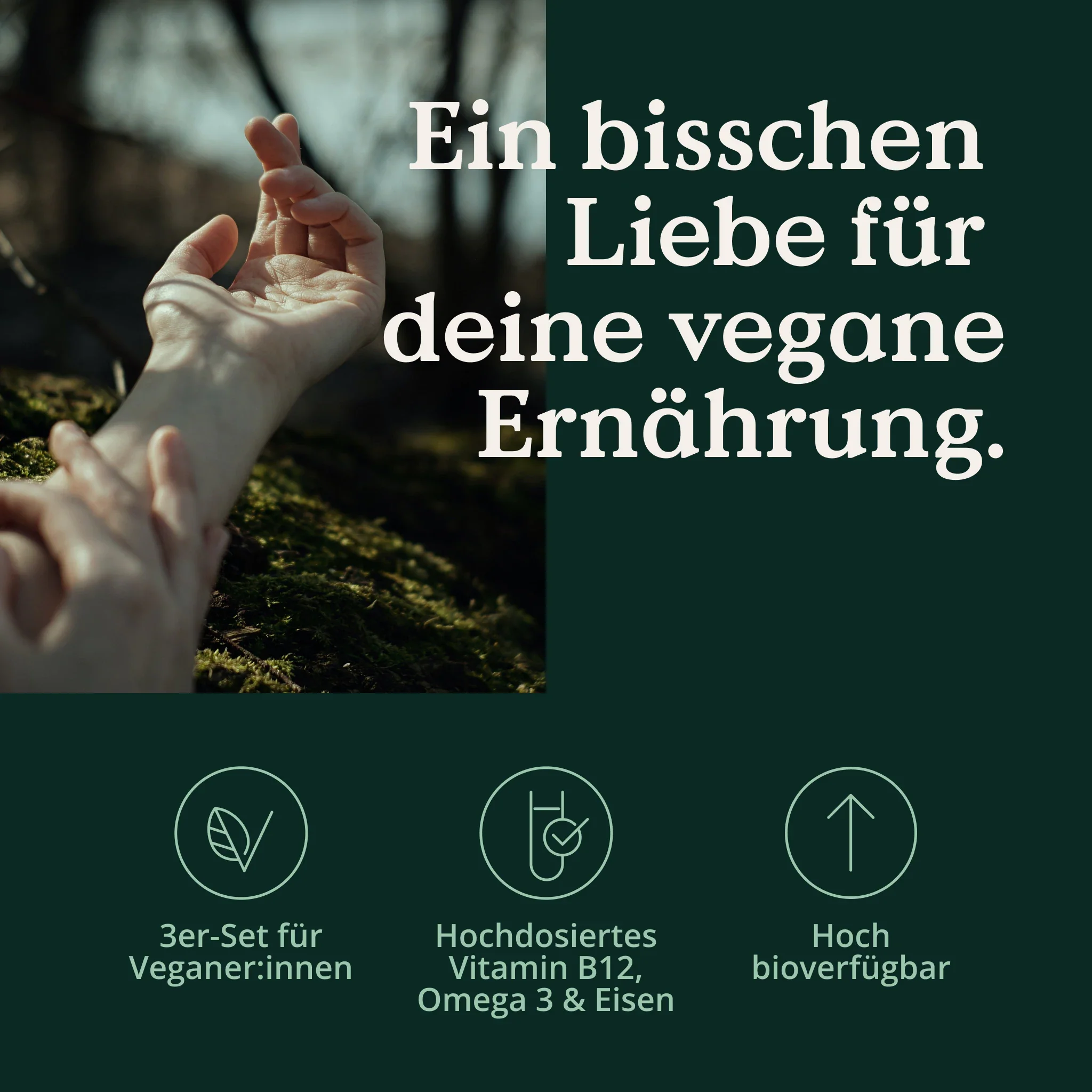 Rundum-Vegan-Set - Image 3